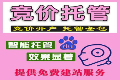 百度竞价推广公司案例揭秘：如何实现低成本高转化